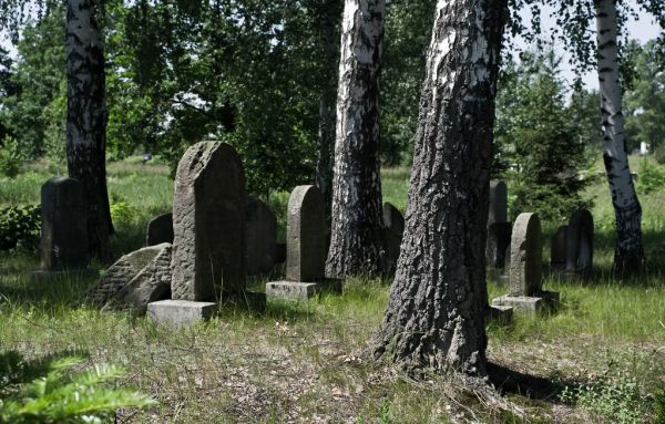 Żołynia photo 2