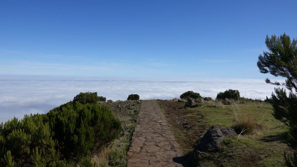 Pico Ruivo de Santana, Madeira