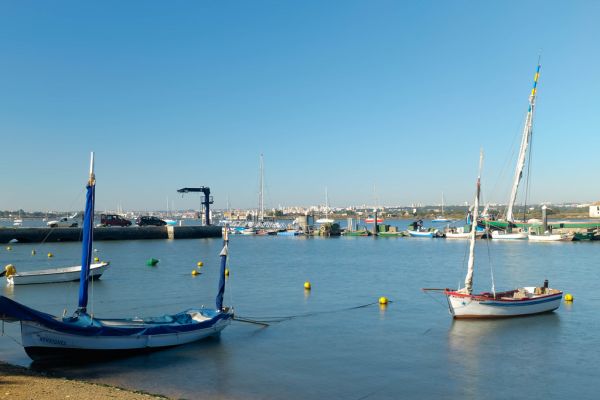 Setúbal Bay photo 4