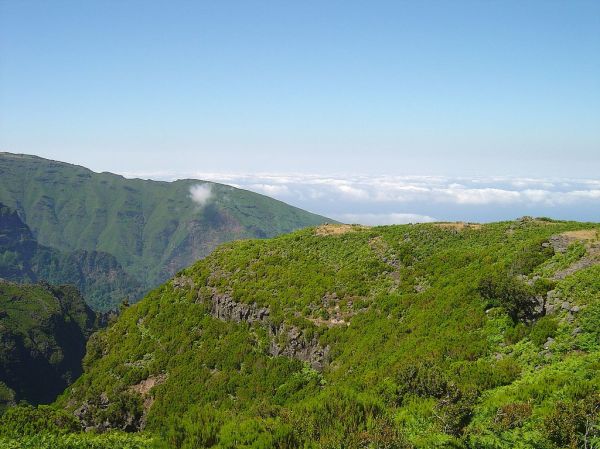 Pico do Poiso, Madeira