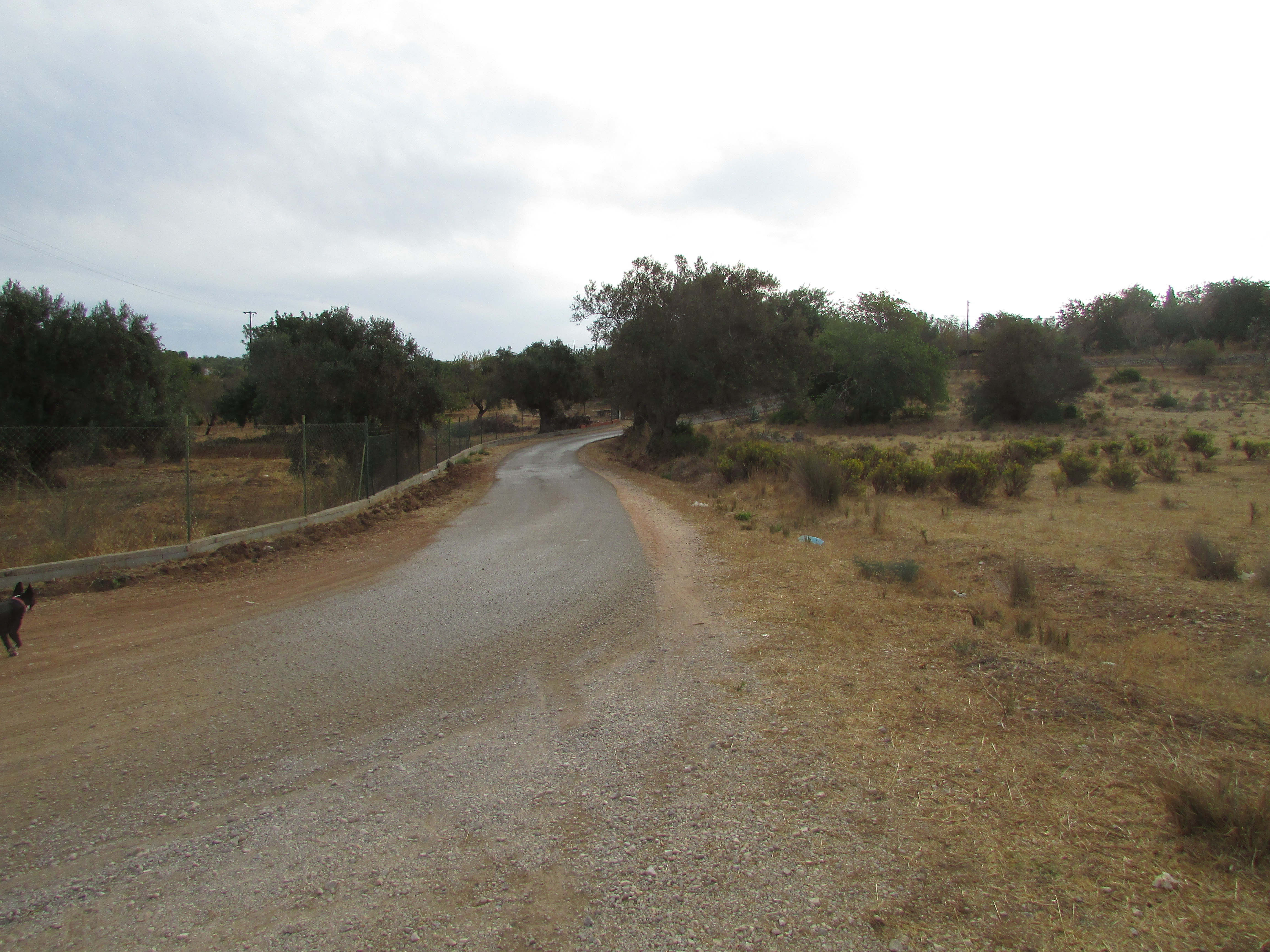 Tunes photo 3