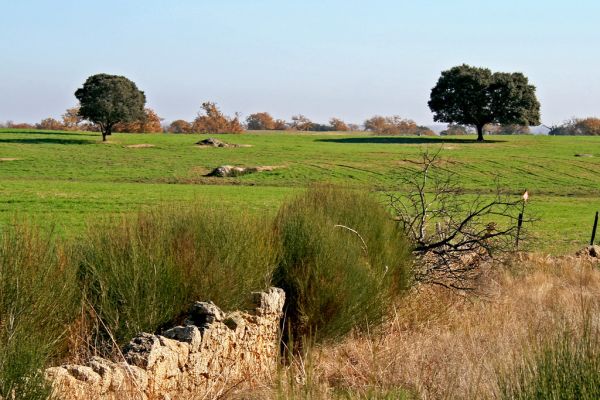 Vale de Santarém photo 2