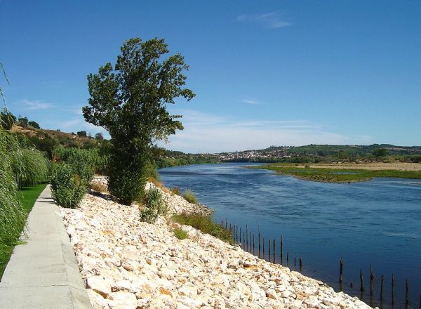 Vila Nova da Barquinha photo 4
