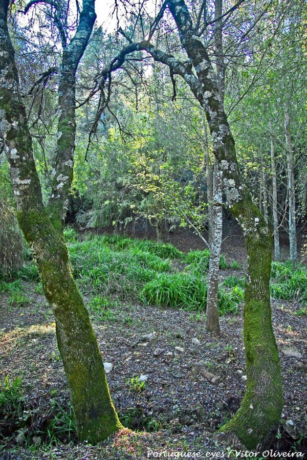 Cabeço Sobreiro, Leiria