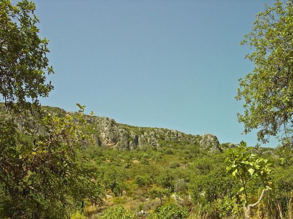 Pena photo 2