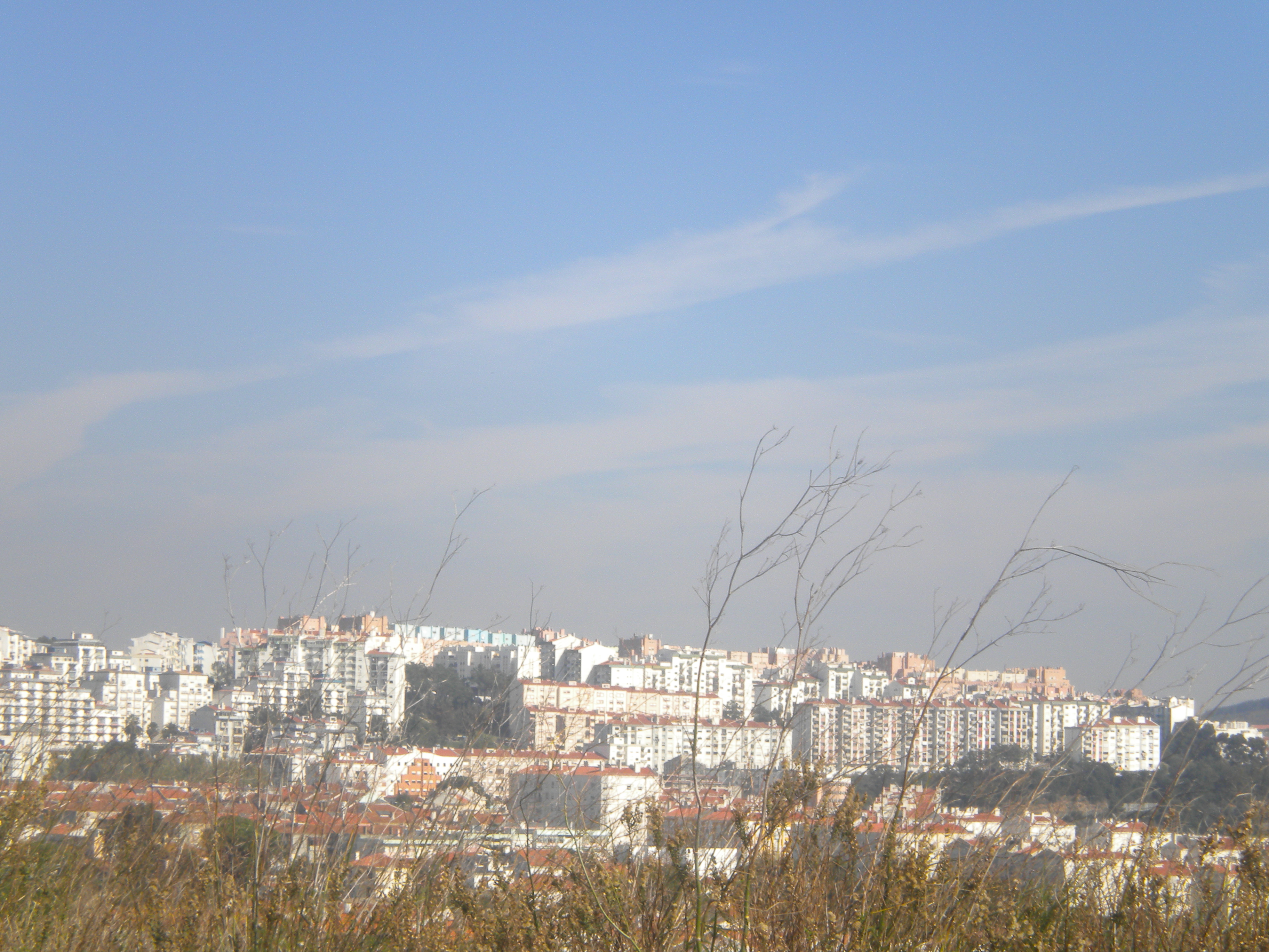 Rio de Mouro photo 3
