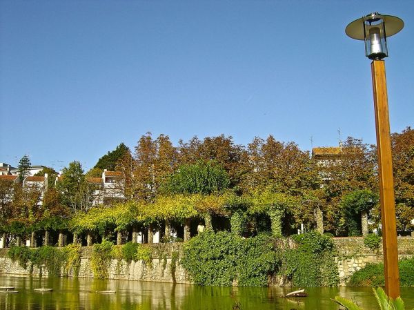 Torres Novas photo 3