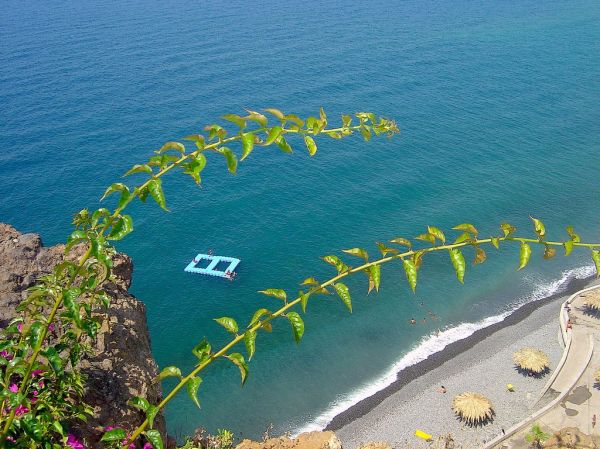 Câmara de Lobos, Madeira