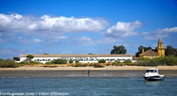 Tavira photo 3
