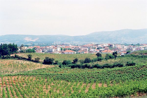 Sobral de Monte Agraço photo 3