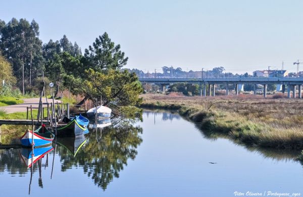 Esgueira, Aveiro