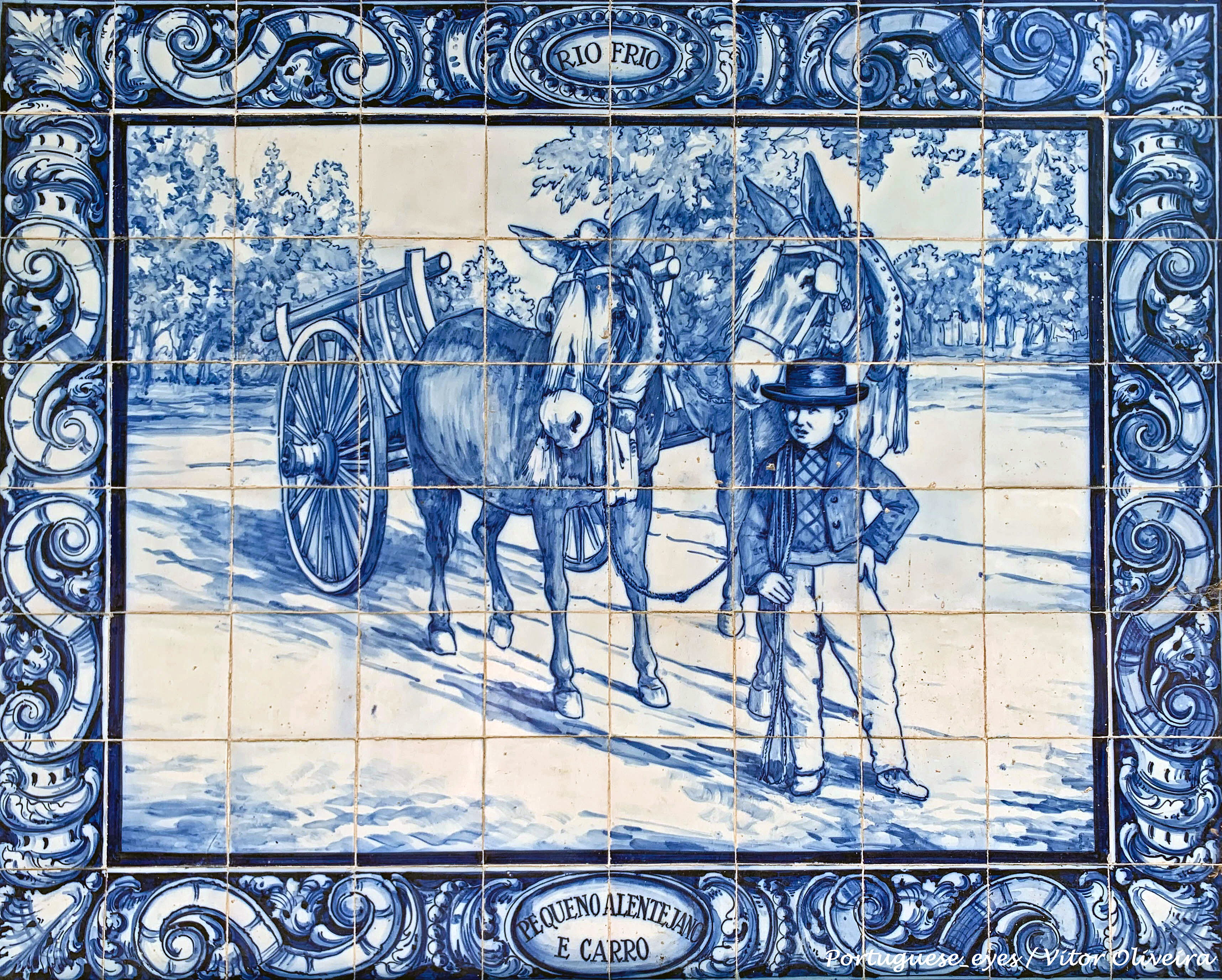 Pinhal Novo photo 3