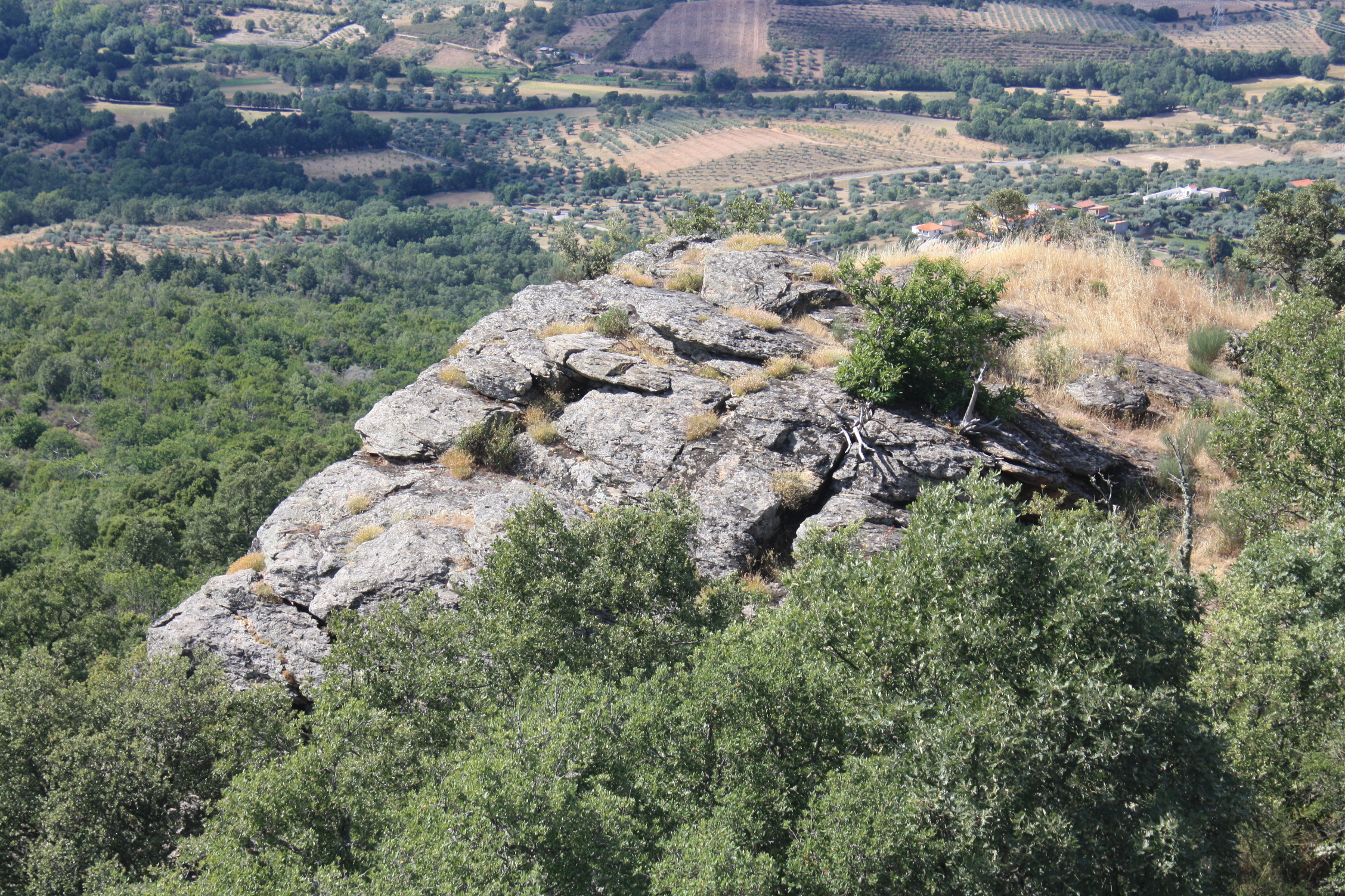 Monte da Vigia photo 4