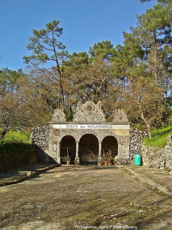 Serra da Mina, Portalegre