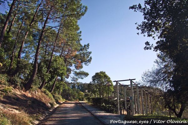 Cabeço Sobreiro photo 3