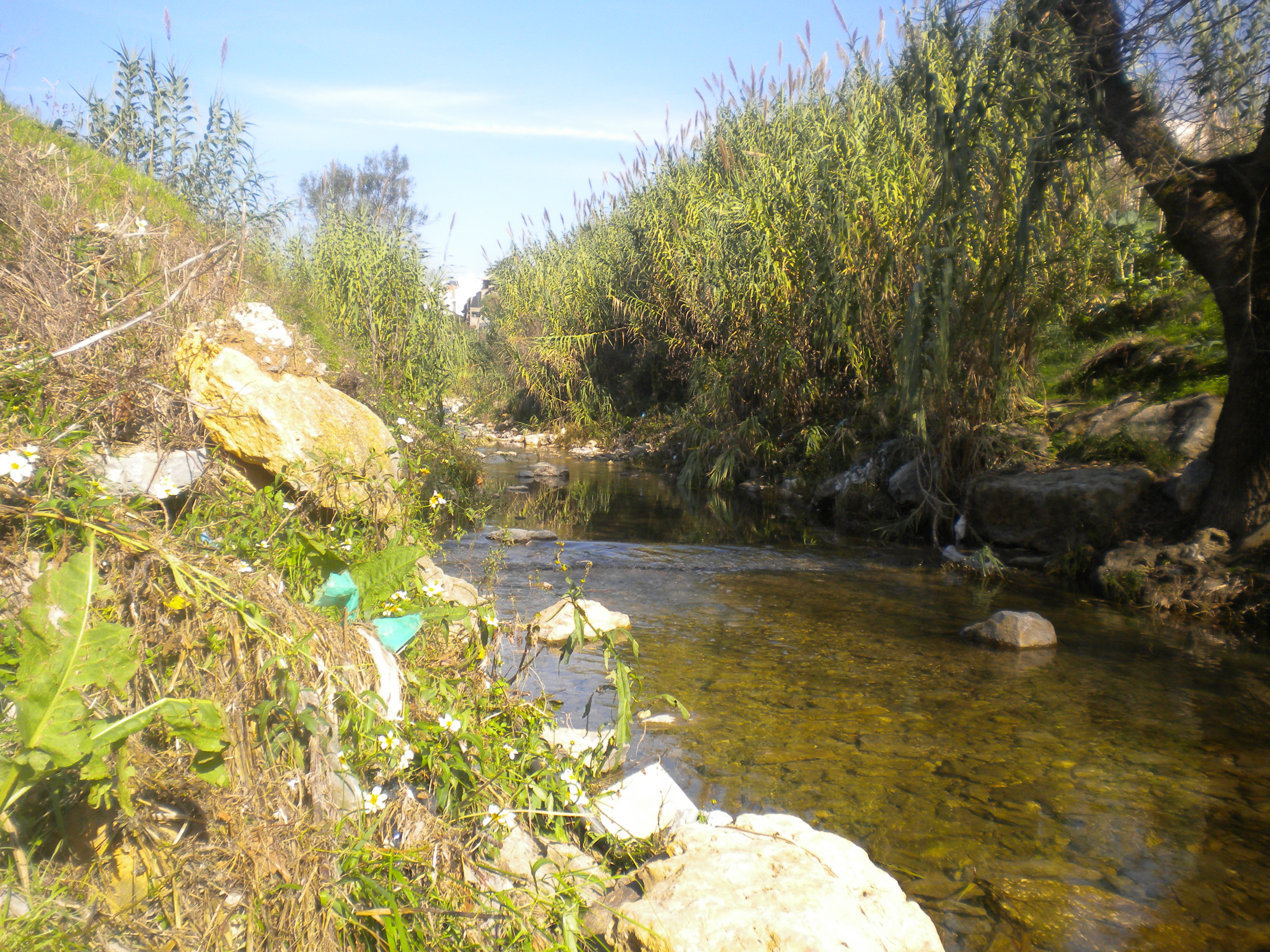 Rio de Mouro photo 4