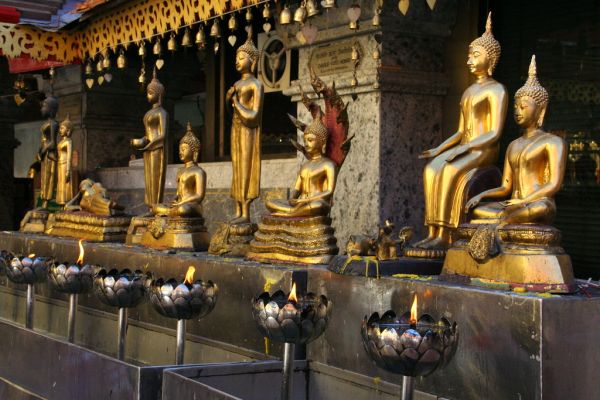 Doi Pui photo 4