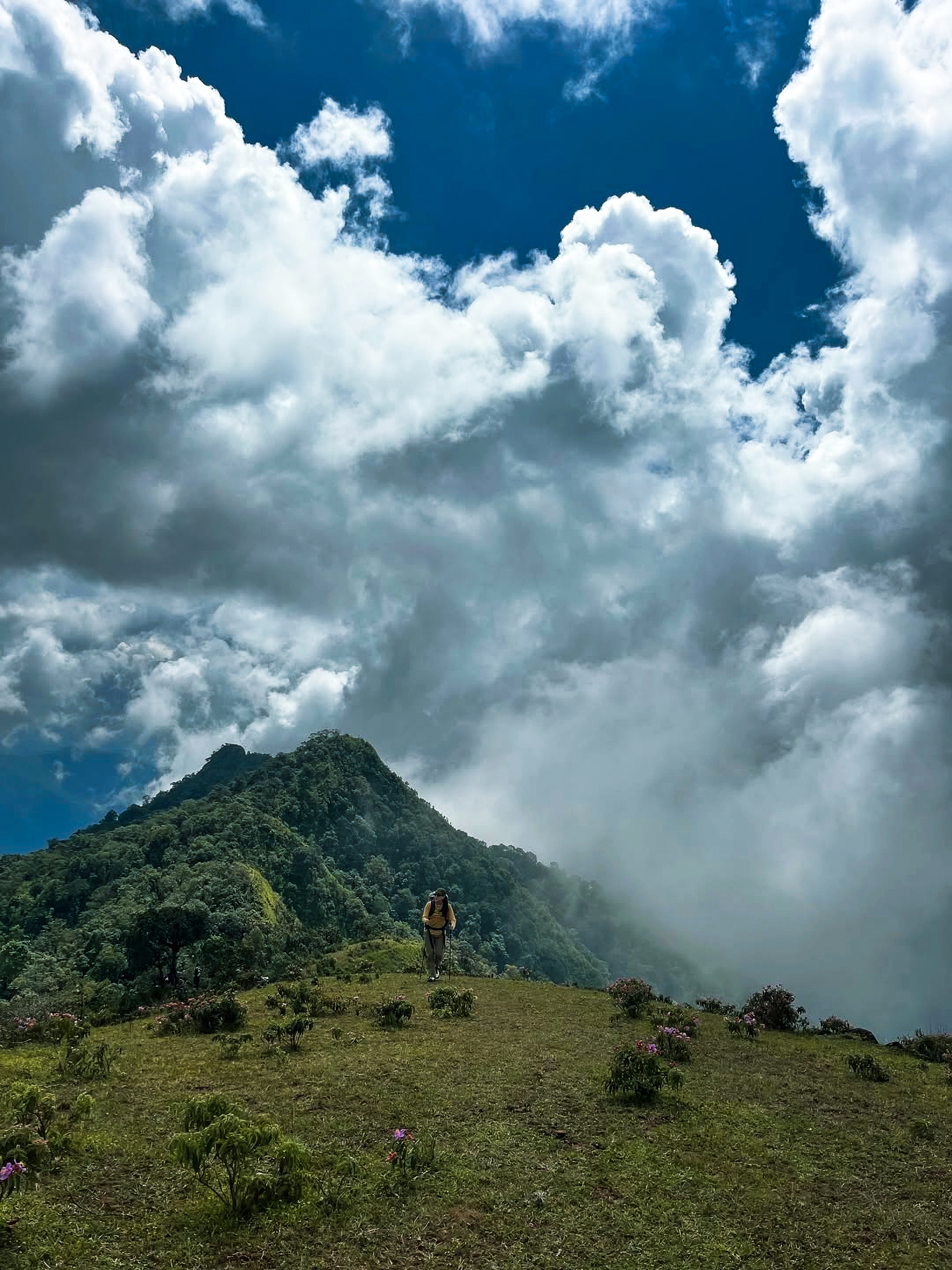 Doi Pui Luang, Chiang Mai