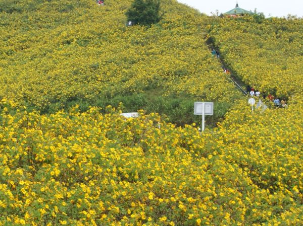 Doi Mae Kho photo 3