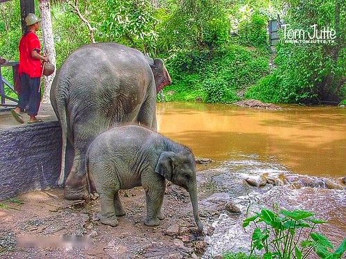 Chiang Mai, Chiang Mai