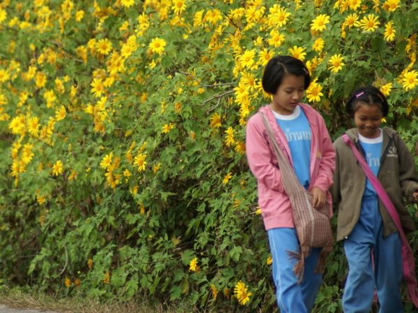 Doi Mae Kho photo 4