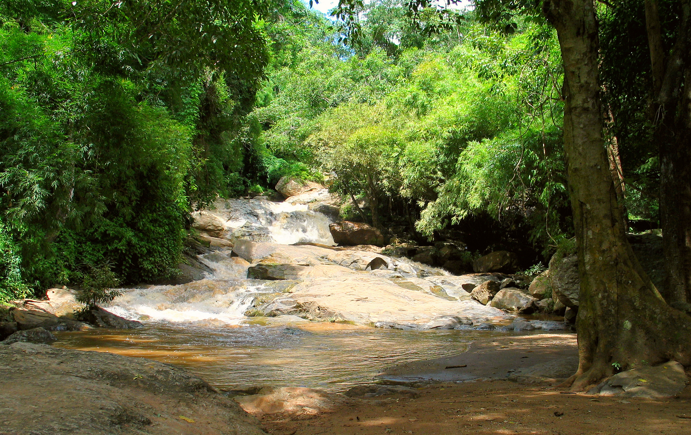 Doi Pui photo 3