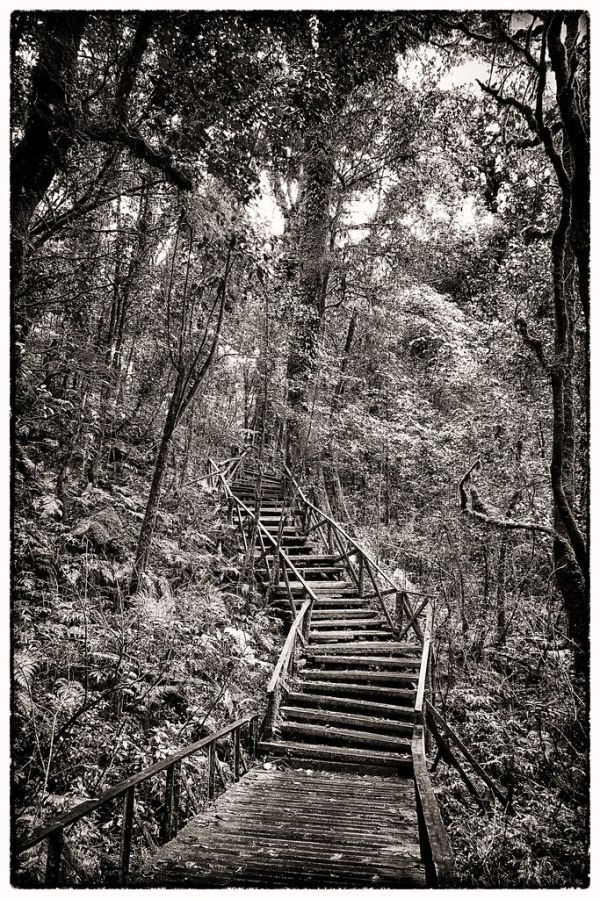 Doi Inthanon, Chiang Mai