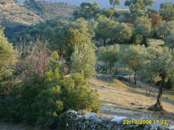 Yenipazar photo 2