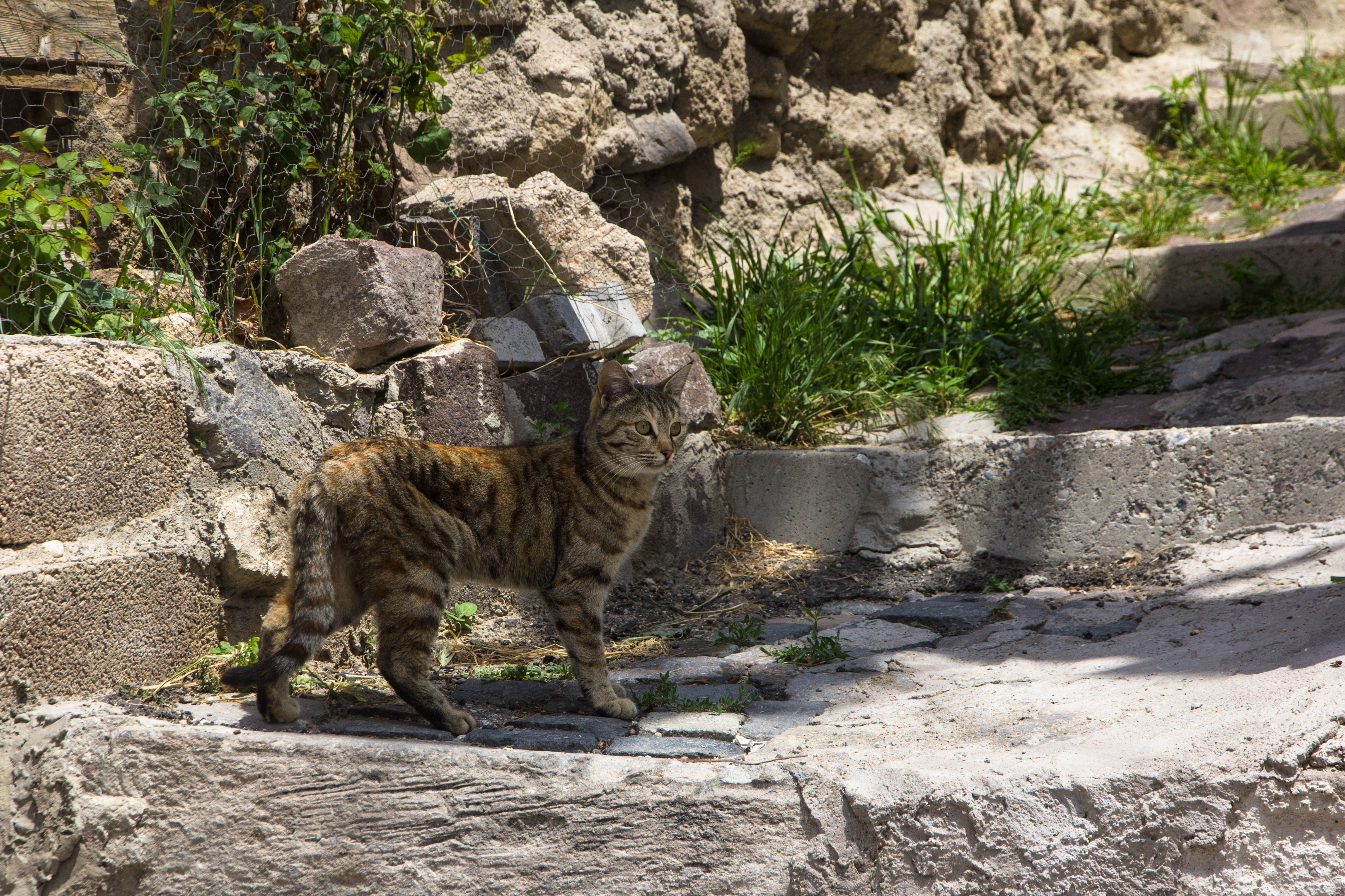 Ürgüp, Nevsehir Province