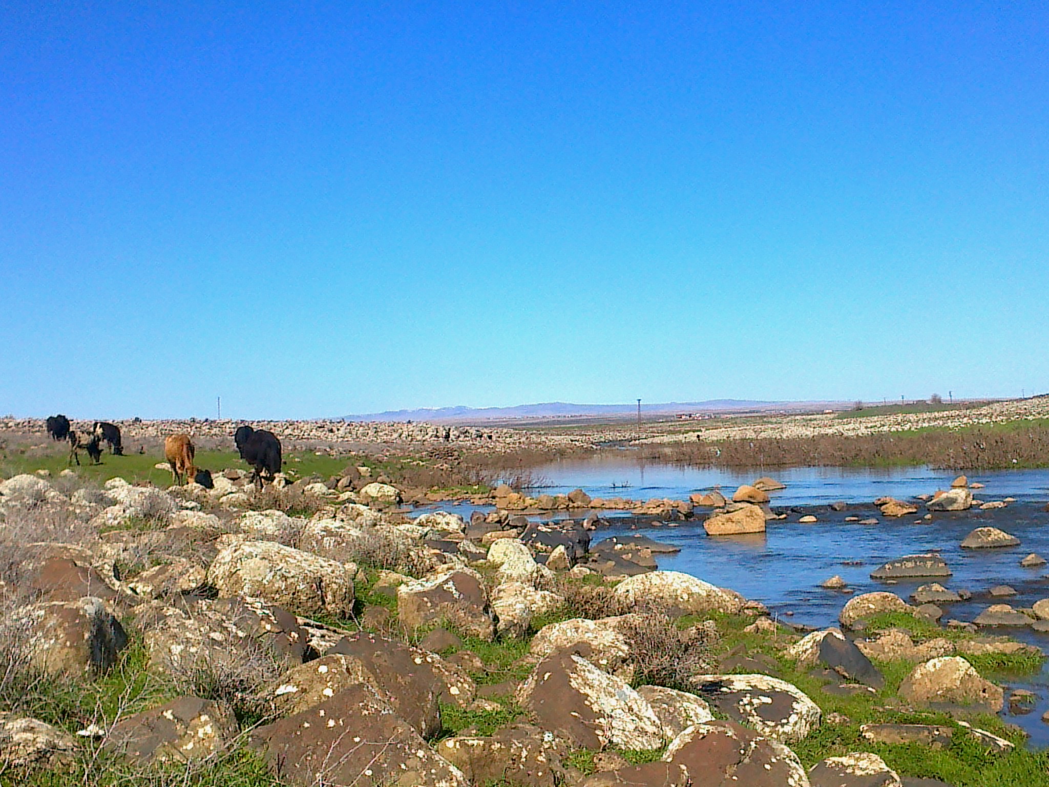 Viranşehir photo 3