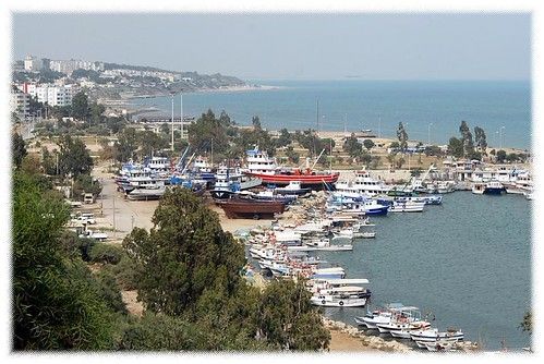 Yumurtalık photo 3