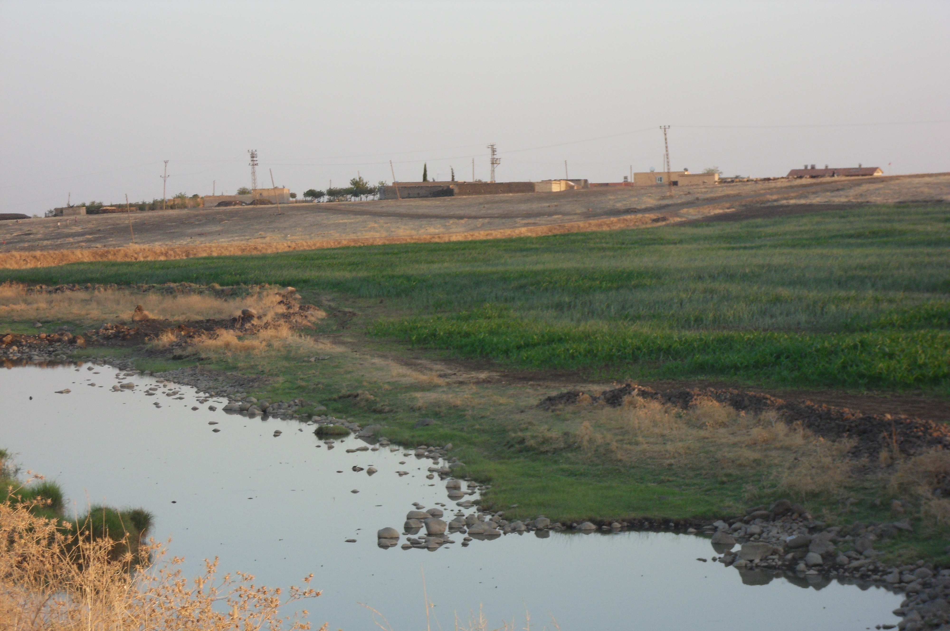 Viranşehir photo 2