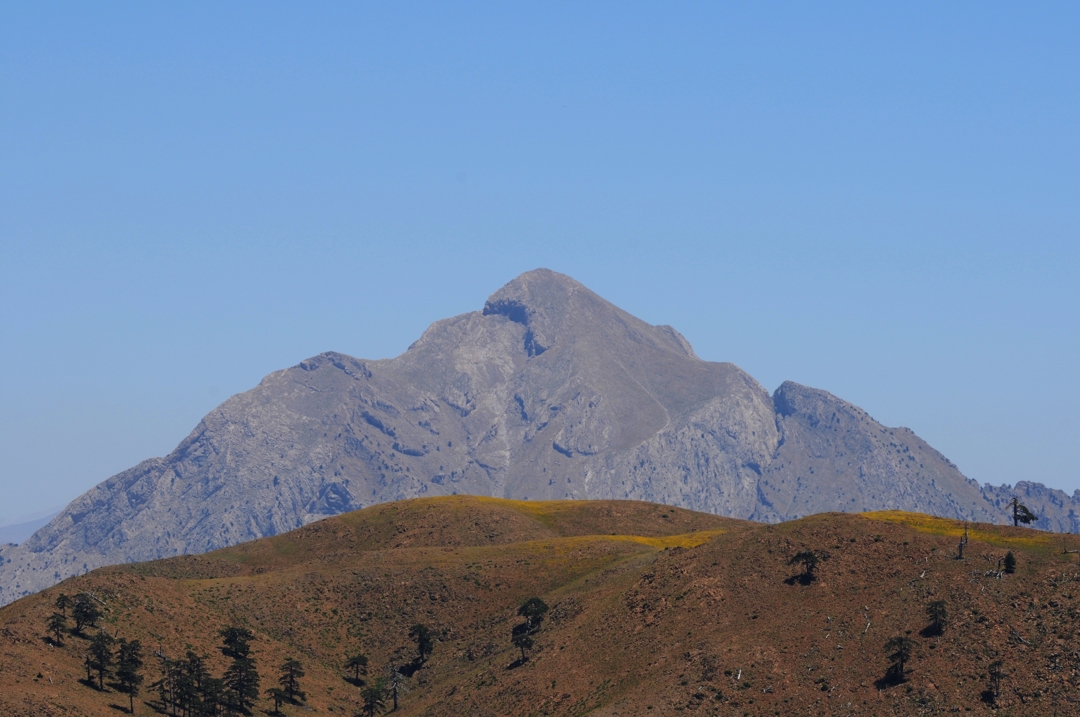 Yahyalı photo 2