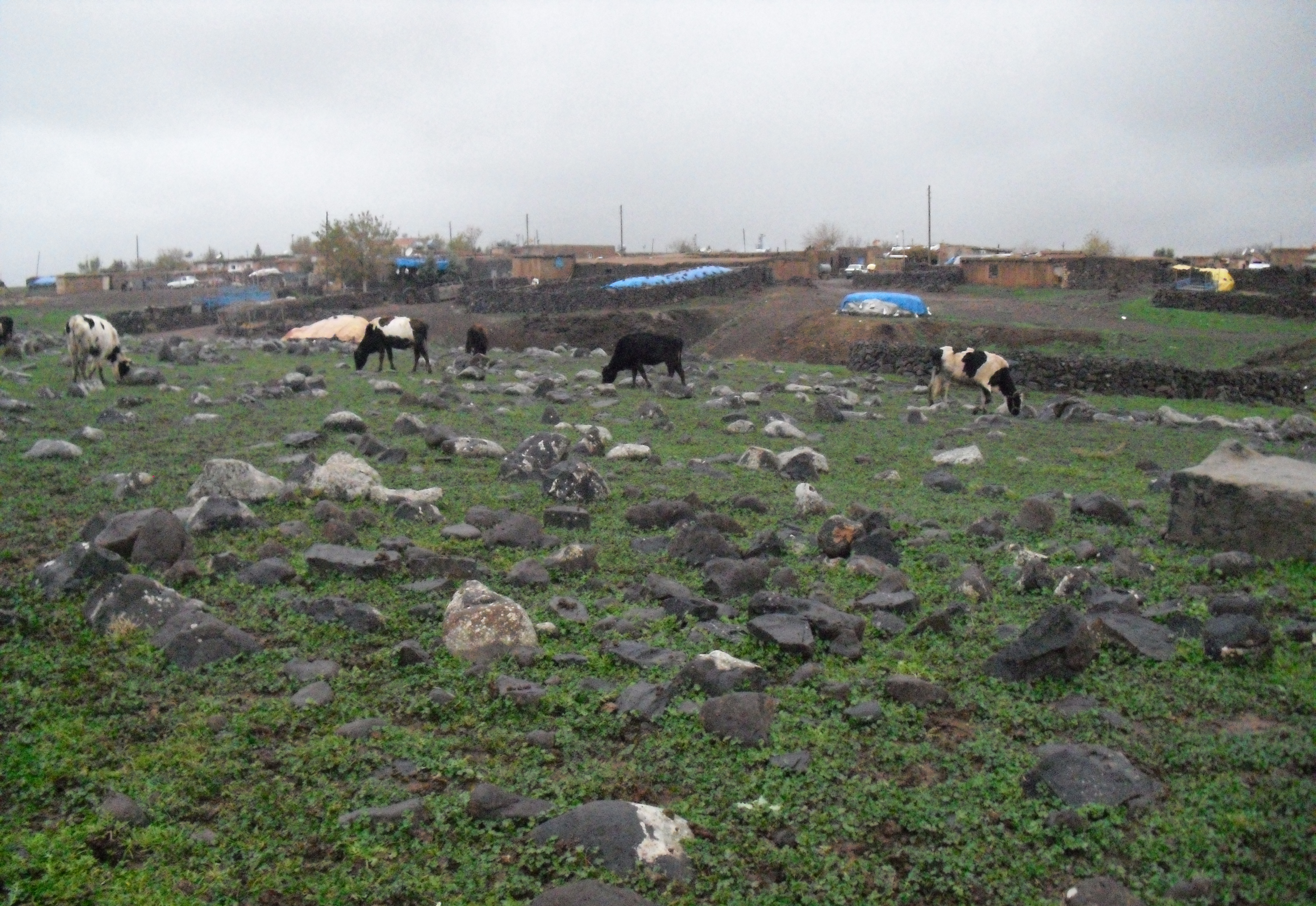 Viranşehir, Sanliurfa