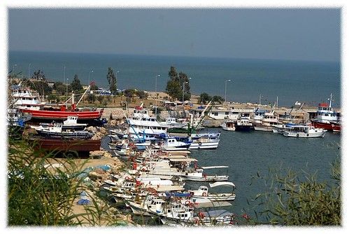 Yumurtalık photo 4