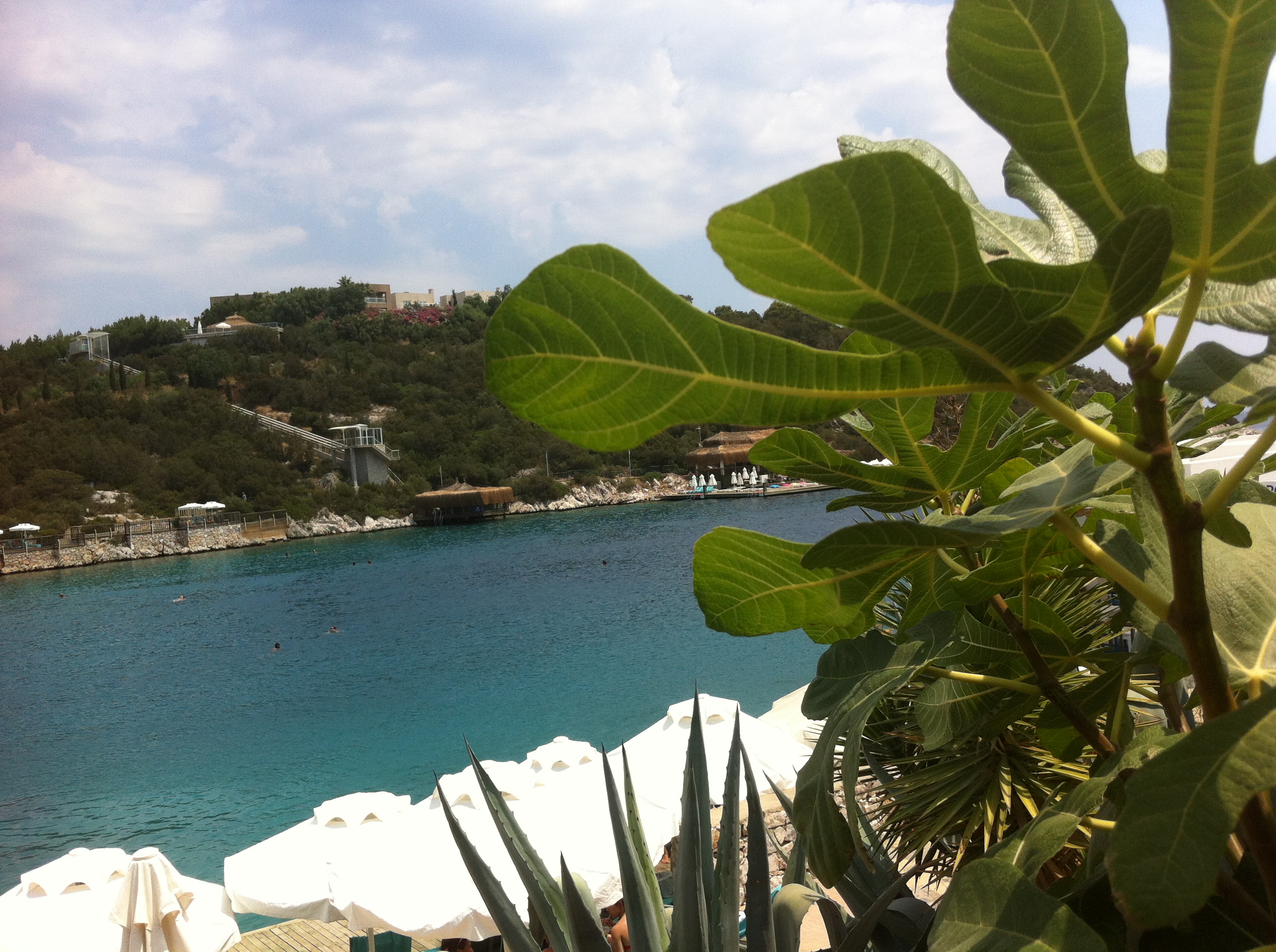 Türkbükü, Mugla