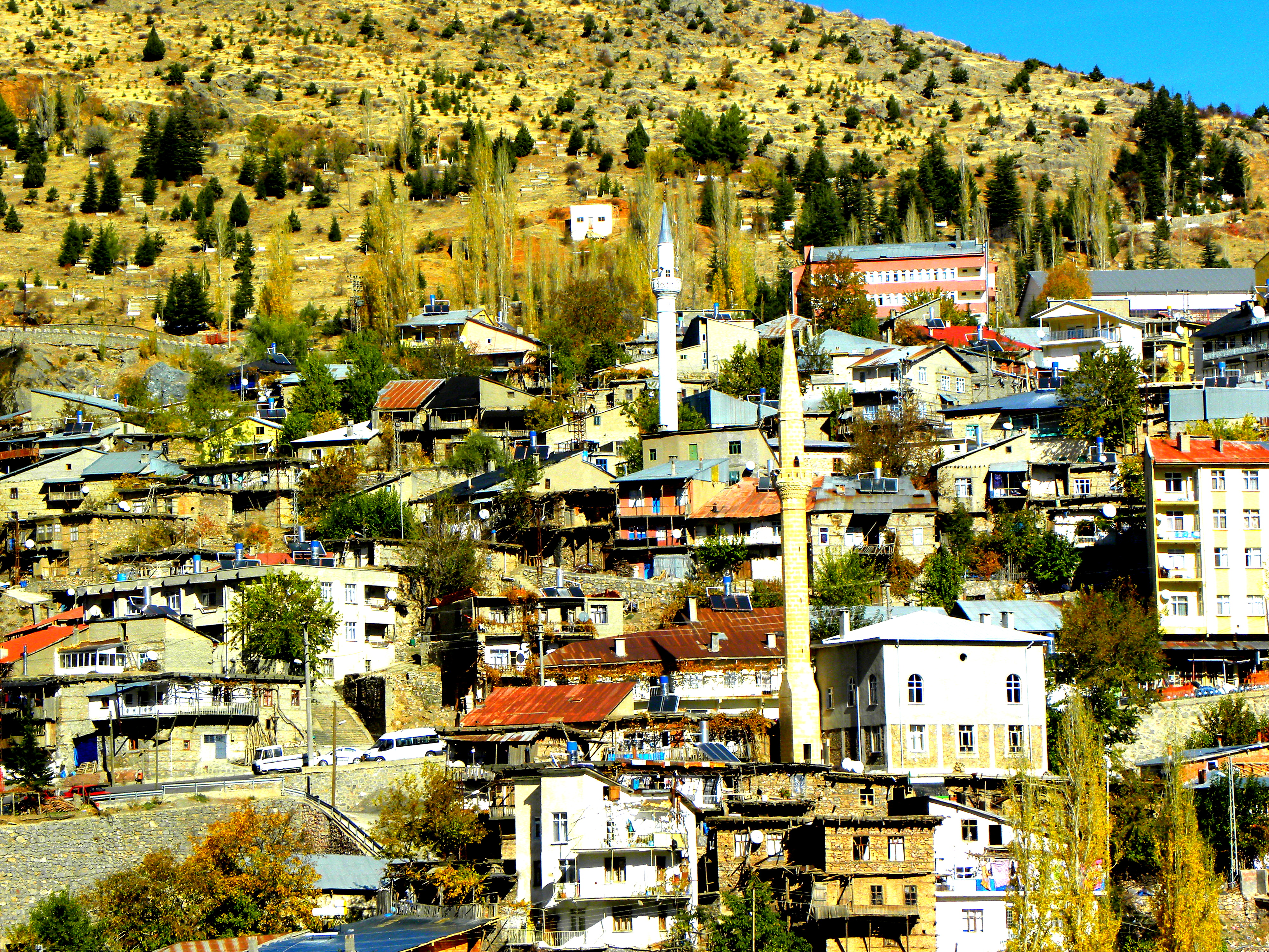 Taşkent photo 3