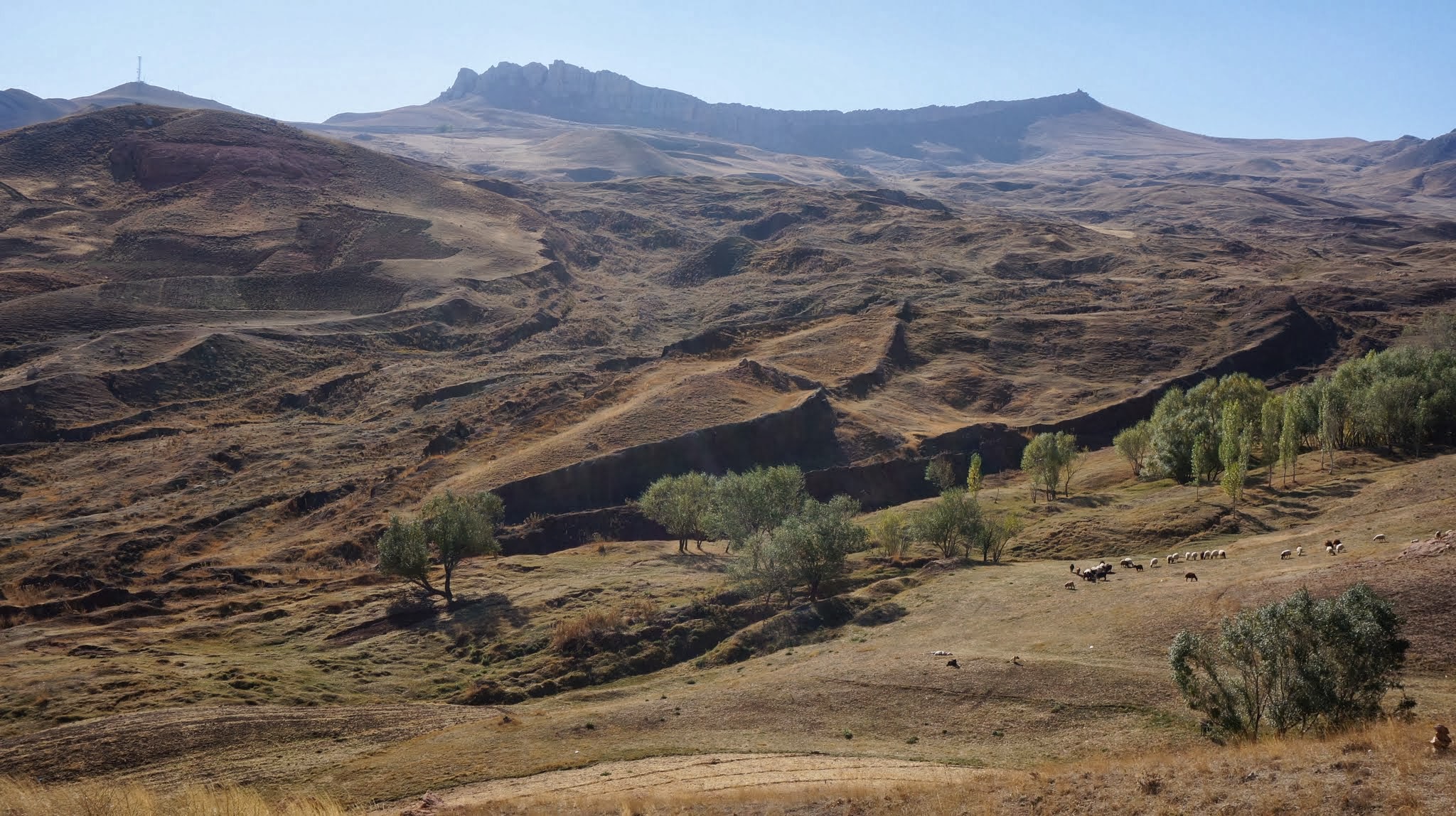 Ağrı, Agri