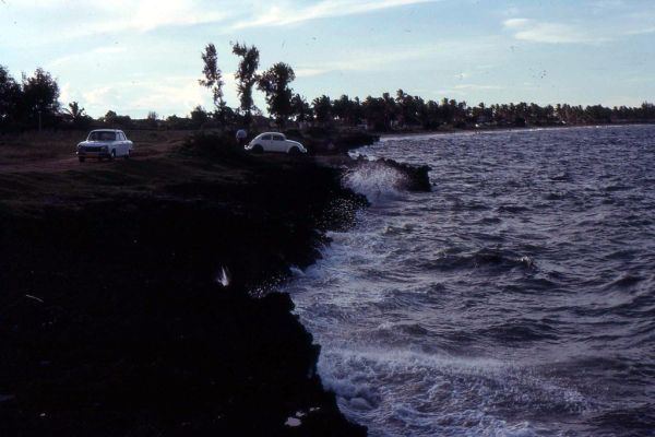 Oyster Bay photo 3