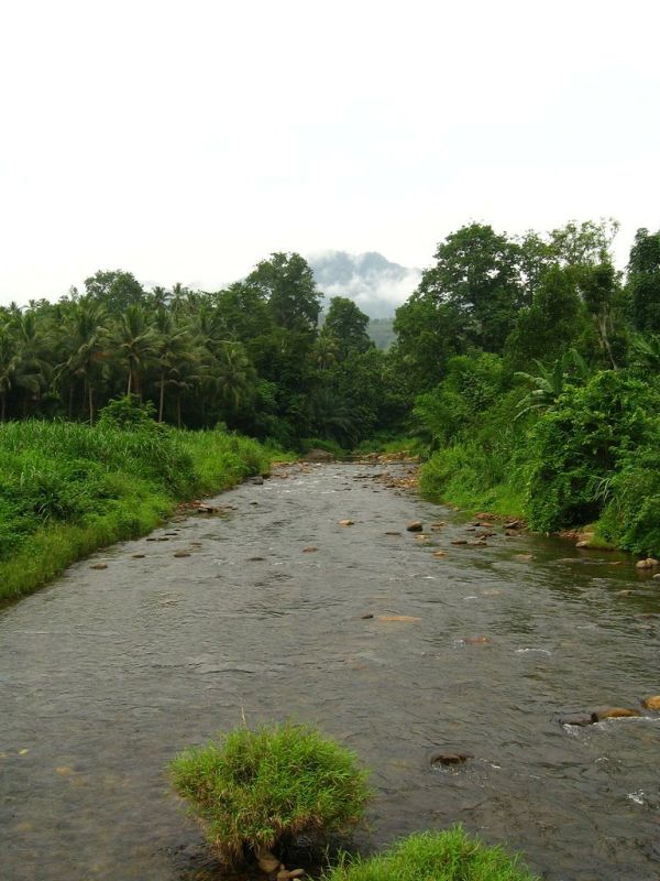 Ruvu River photo 2