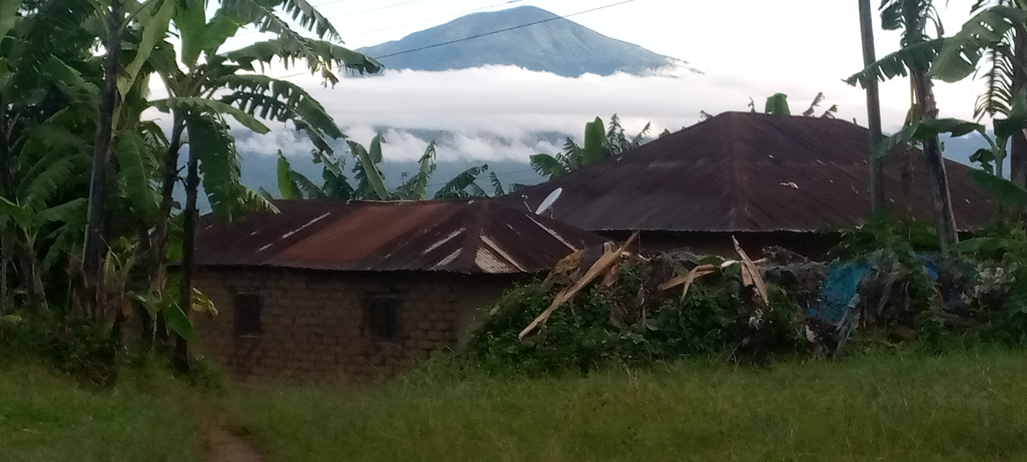 Rungwe Mountain photo 2