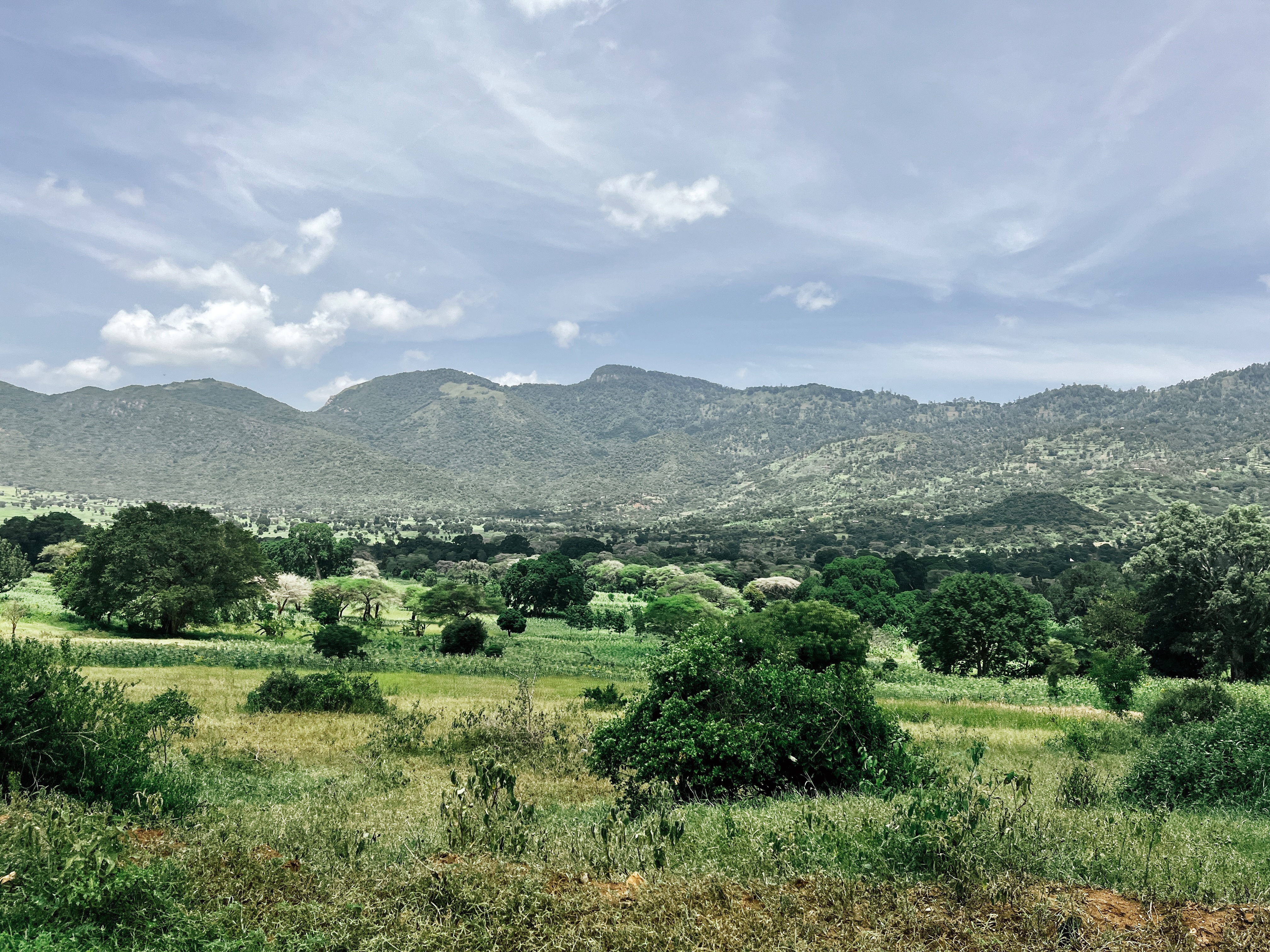 Mwembe, Kilimanjaro