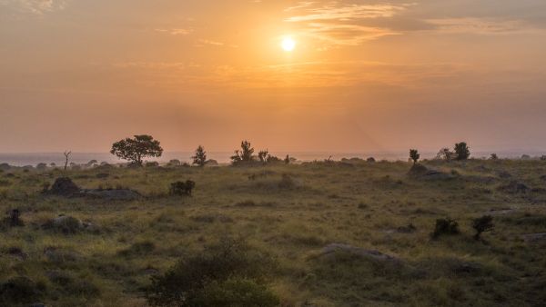 Seronera River, Mara