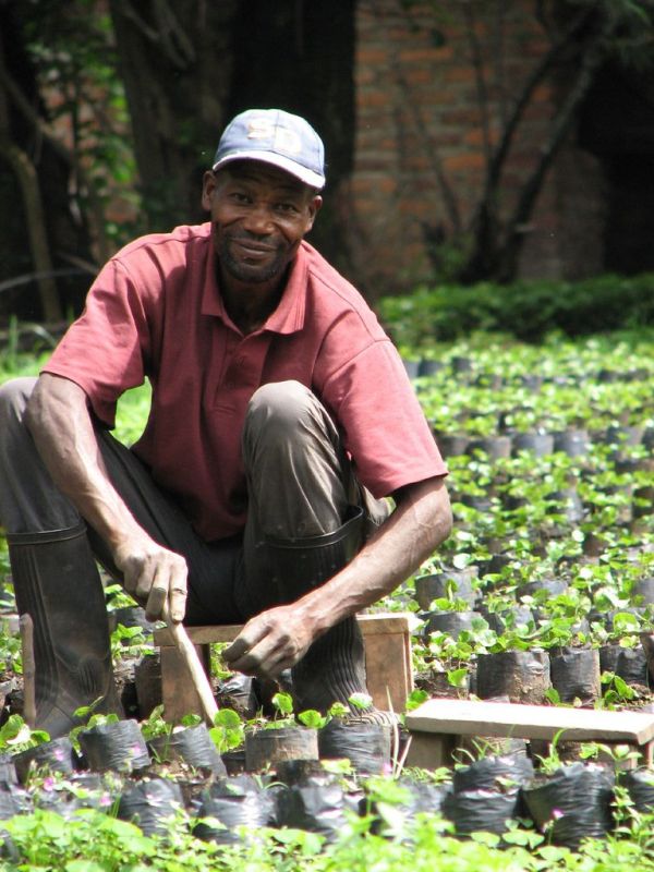 Utengule, Mbeya