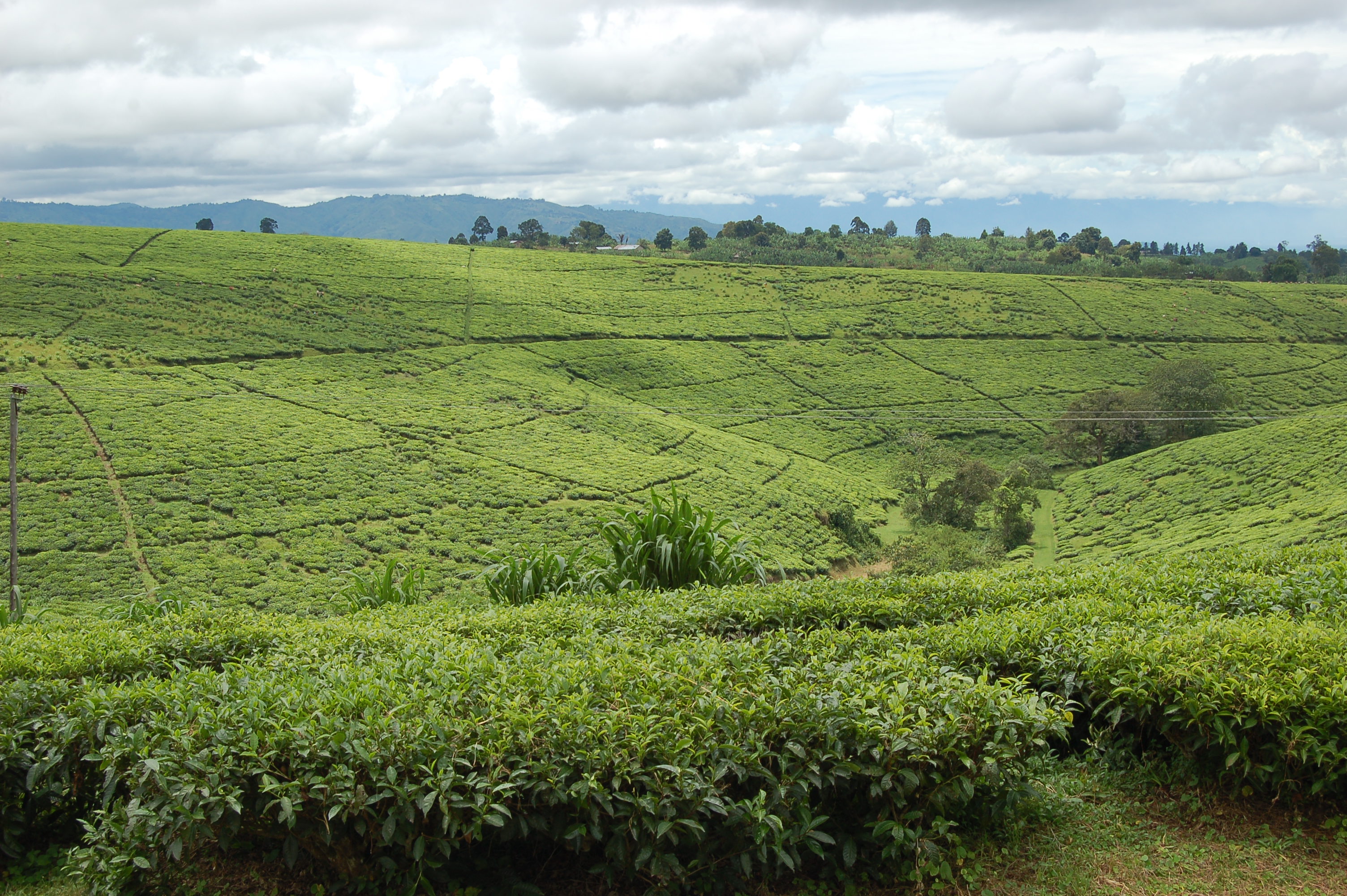 Tukuyu, Mbeya