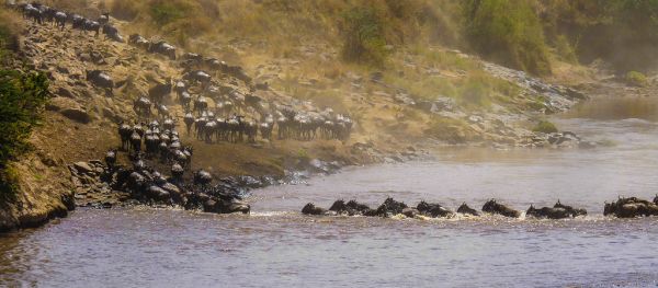 Narok photo 2