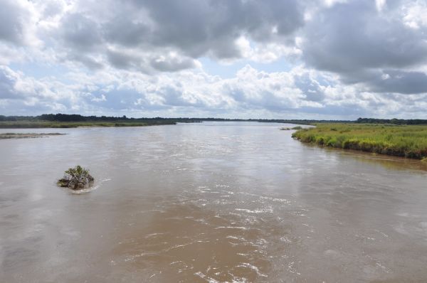 Ruvu River photo 3