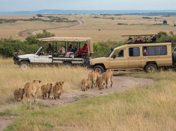 Narok photo 4