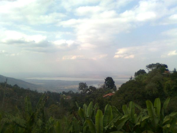 Usangi photo 4