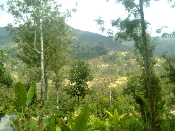 Usangi, Kilimanjaro